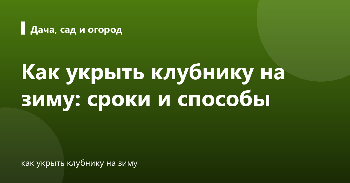 Как укрыть клубнику на зиму: сроки и способы