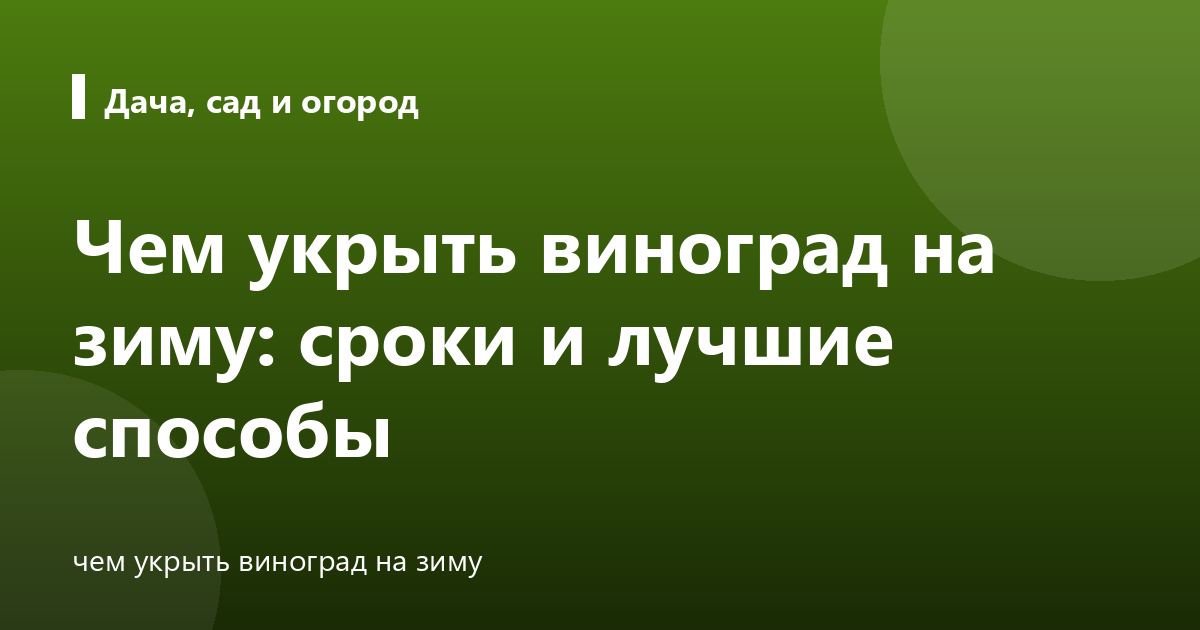 Чем укрыть виноград на зиму: сроки и лучшие способы
