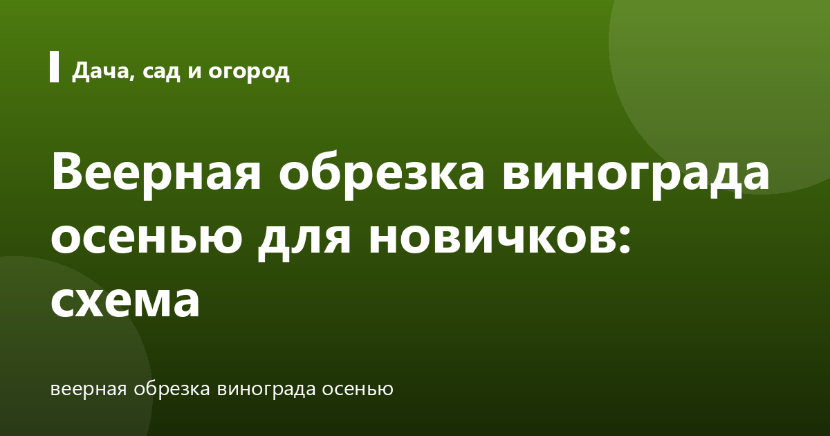 Веерная обрезка винограда осенью для новичков: схема
