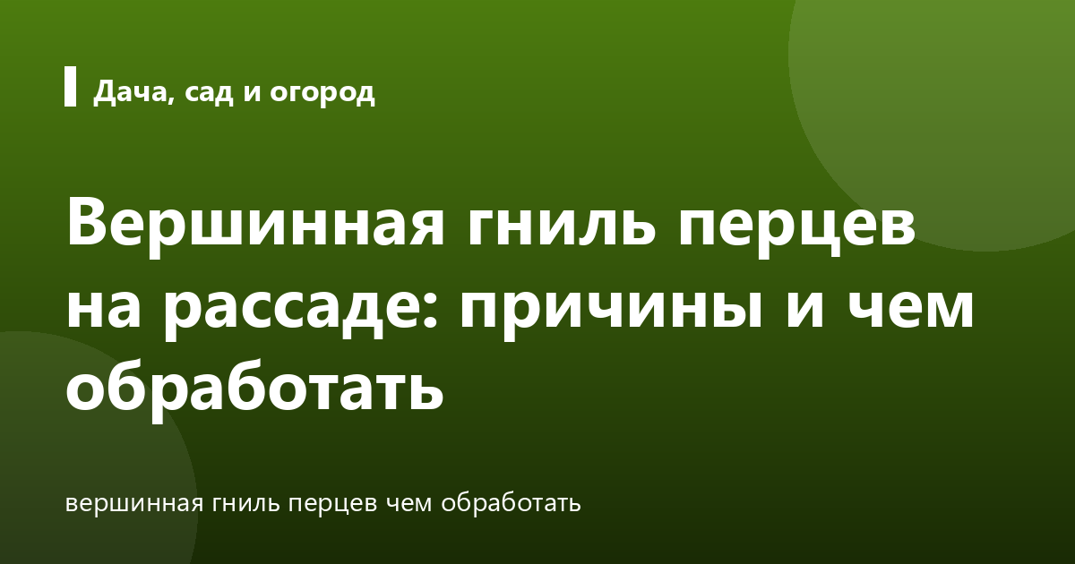 Вершинная гниль перцев на рассаде: причины и чем обработать