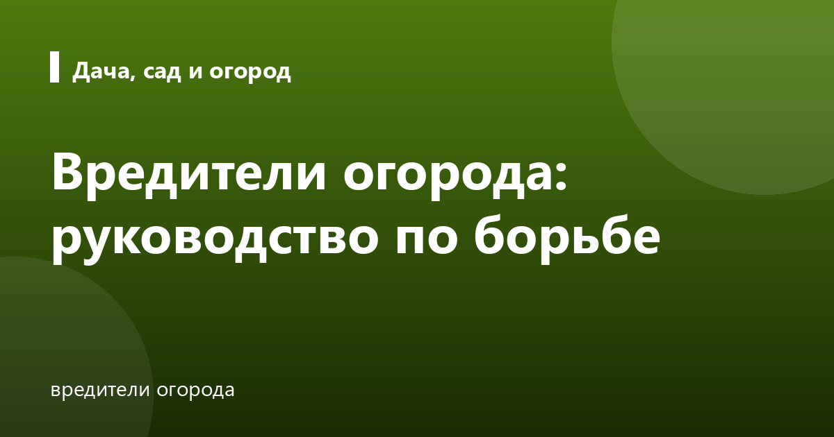 Вредители огорода: руководство по борьбе