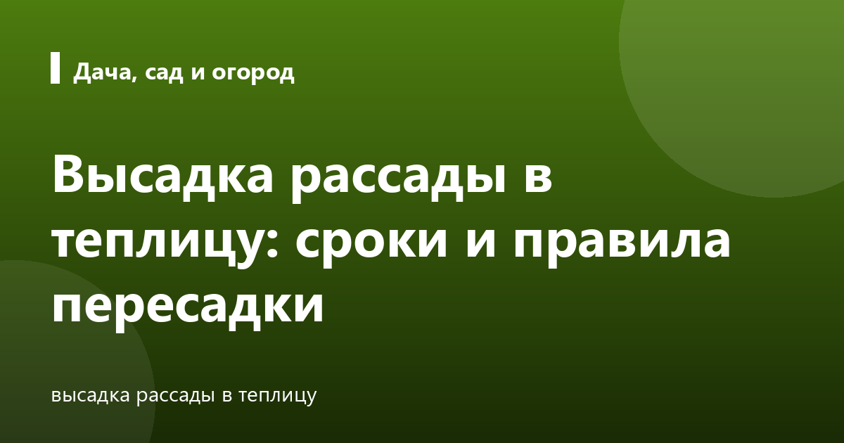 Высадка рассады в теплицу: сроки и правила пересадки