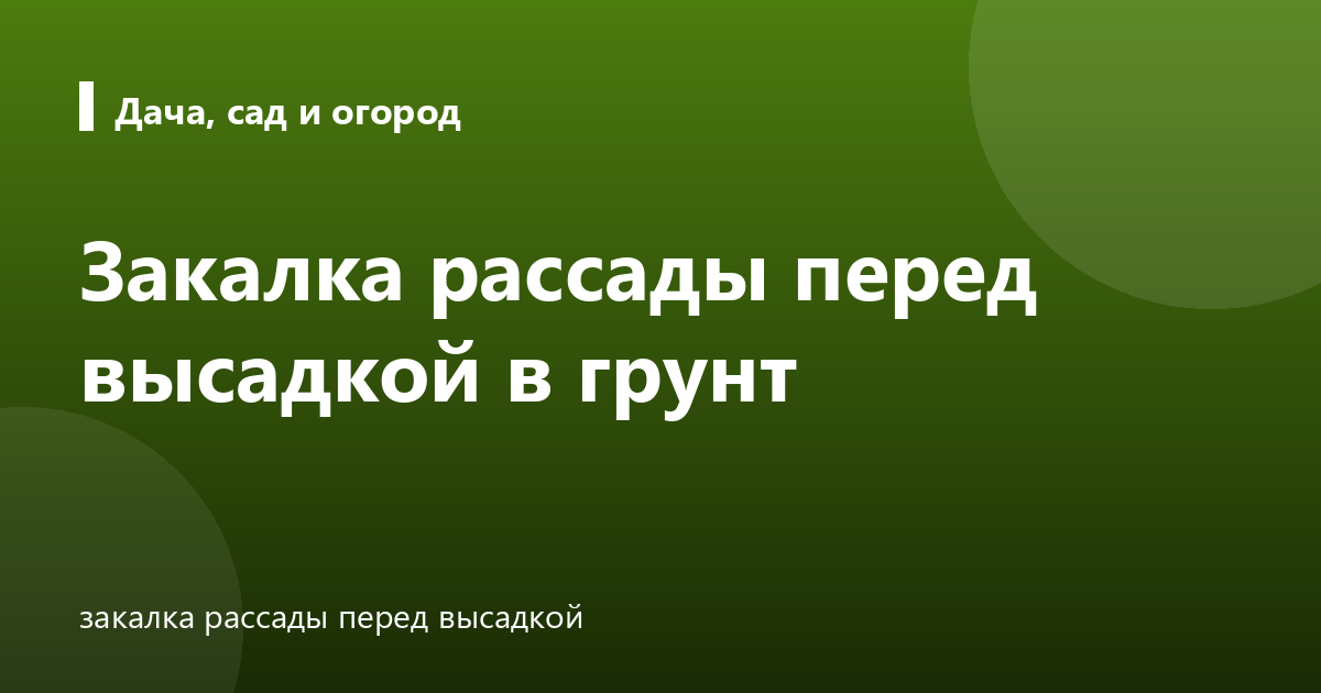 Закалка рассады перед высадкой в грунт