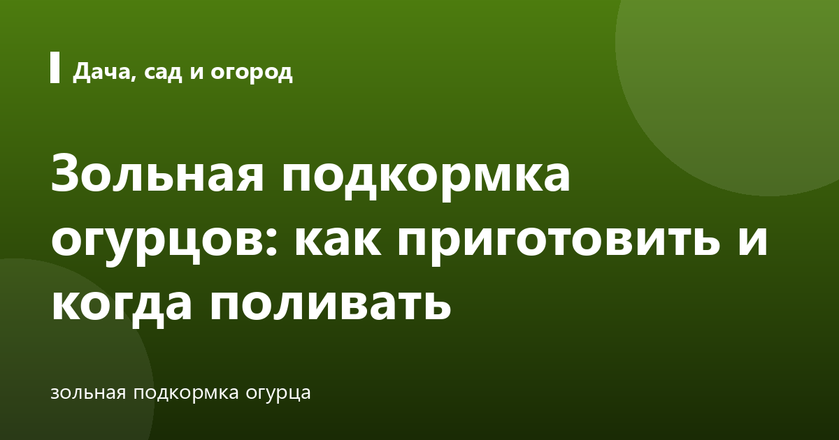 Зольная подкормка огурцов: как приготовить и когда поливать