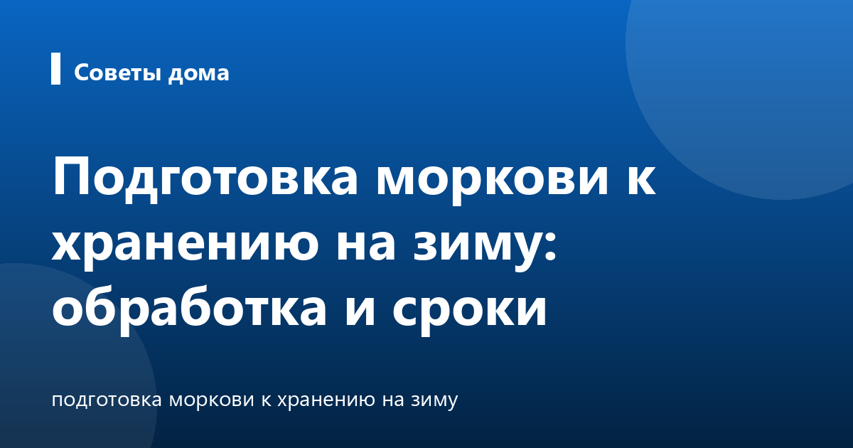Подготовка моркови к хранению на зиму: обработка и сроки