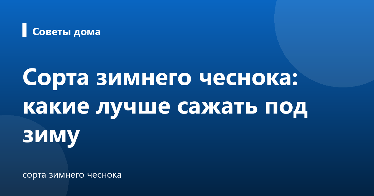Сорта зимнего чеснока: какие лучше сажать под зиму